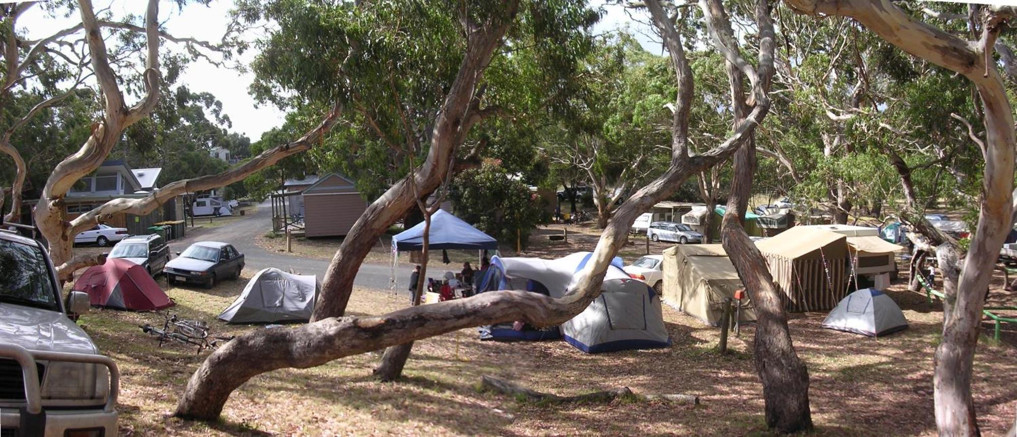 קייפ אוטוואי Bimbi Park - Camping Under Koalas מראה חיצוני תמונה