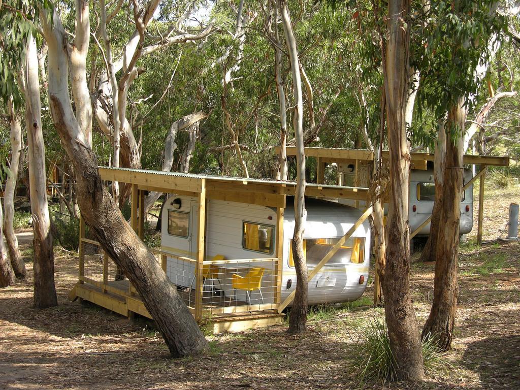 קייפ אוטוואי Bimbi Park - Camping Under Koalas מראה חיצוני תמונה